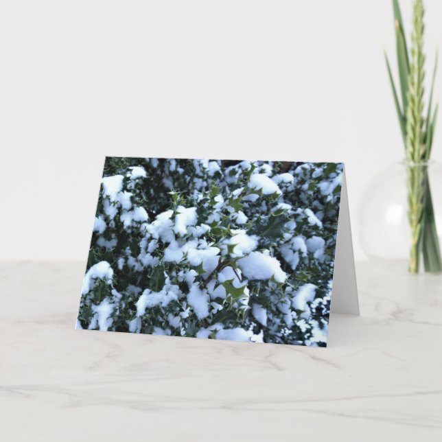 Tarjeta Holly cubierto de nieve (Anverso)