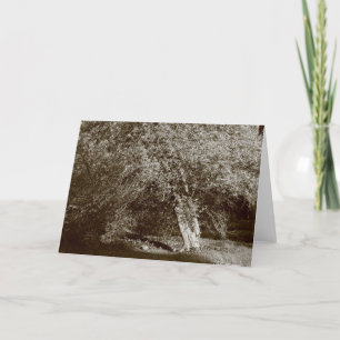Tarjeta Holly Tree - Sepia