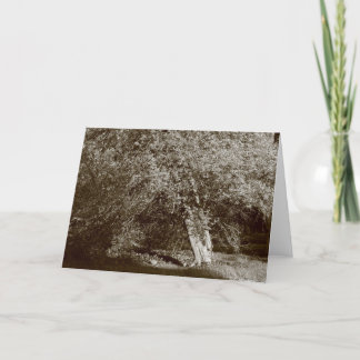 Tarjeta Holly Tree - Sepia