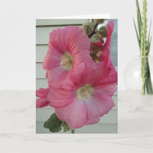 Tarjeta Hollyhock rosado, señora hermosa del cumpleaños (Anverso)