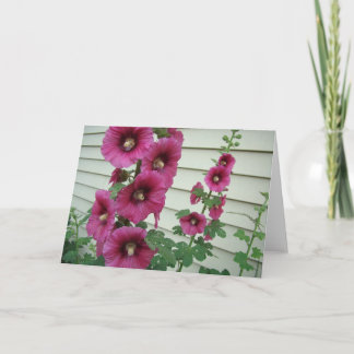 Tarjeta Hollyhocks gloriosos
