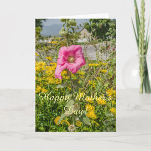 Tarjeta Hollyhocks rosados perfectos (Althaea)