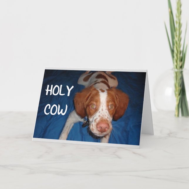 TARJETA HOLY COW DICE PUP "TIENES 70 AÑOS" (Anverso)