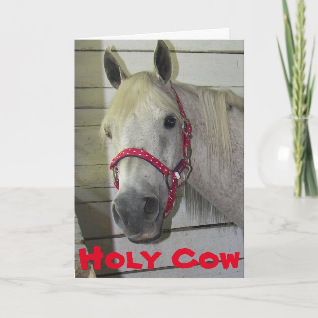 TARJETA HOLY COW YOUNG **60º CUMPLEAÑOS*** (Anverso)
