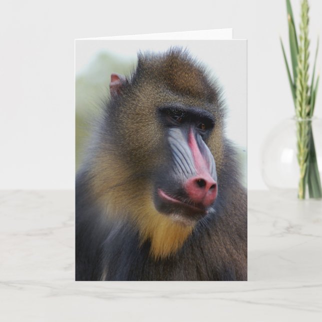 Tarjeta Hombre solamente (Anverso)