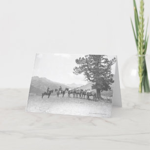 Tarjeta Hombres con los packhorses que miran sobre una