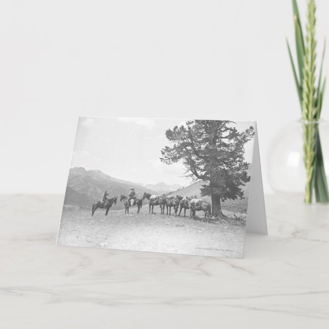 Tarjeta Hombres con los packhorses que miran sobre una (Anverso)