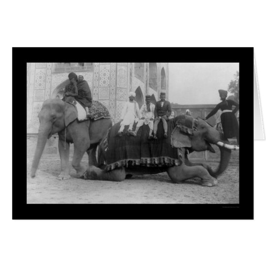 Tarjeta Hombres que viajan por el elefante en la India