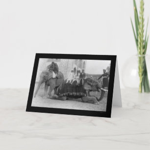 Tarjeta Hombres viajando por elefantes en India 1903