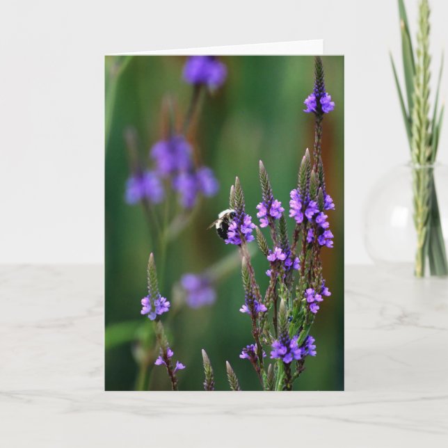 Tarjeta Honey Bee (Anverso)