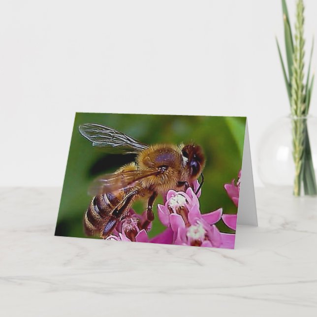 Tarjeta Honey Bee (Anverso)