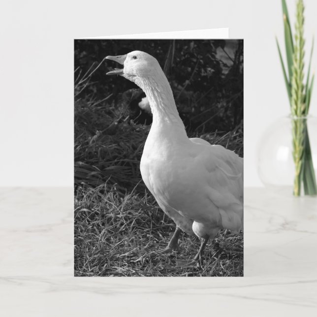 Tarjeta Honking Sebbie (Anverso)