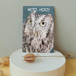 Tarjeta Hooting Screech Owl Funny Birthday