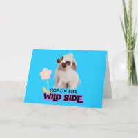 Hop en el lado salvaje