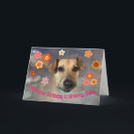 Tarjeta Hope Your Birthday Is Groovy with Funny Dog<br><div class="desc">Send this retro 70s birthday card featuring Burton the dog,  who is sporting a spaced out groovy look thanks to his cone! 

Barley Cards feature rescue animal models like Burton and gives back to humane societies.</div>