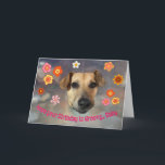 Tarjeta Hope Your Birthday Is Groovy with Funny Dog<br><div class="desc">Send this retro 70s birthday card featuring Burton the dog,  who is sporting a spaced out groovy look thanks to his cone! 

Barley Cards feature rescue animal models like Burton and gives back to humane societies.</div>