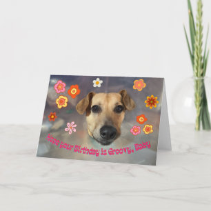 Tarjeta Hope Your Birthday Is Groovy with Funny Dog