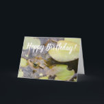Tarjeta Hoppy Birthday Funny Frog<br><div class="desc">Cheeky tarjeta de cumpleaños con los juegos de palabras "Hoppy Birthday" y "¡Eres genial como un sapo!"</div>