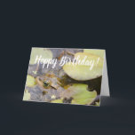 Tarjeta Hoppy Birthday Funny Frog<br><div class="desc">Cheeky tarjeta de cumpleaños con los juegos de palabras "Hoppy Birthday" y "¡Eres genial como un sapo!"</div>