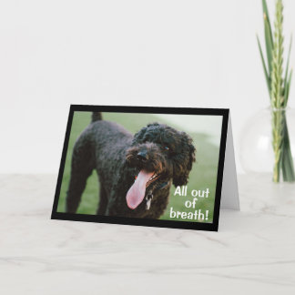 TARJETA **HORA DE CELEBRAR SU 12º CUMPLEAÑOS**