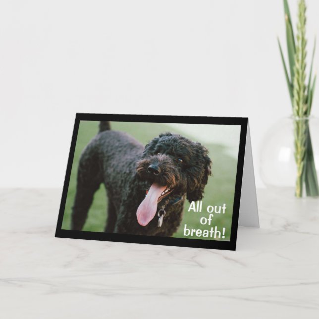 TARJETA **HORA DE CELEBRAR SU 13º CUMPLEAÑOS** (Anverso)