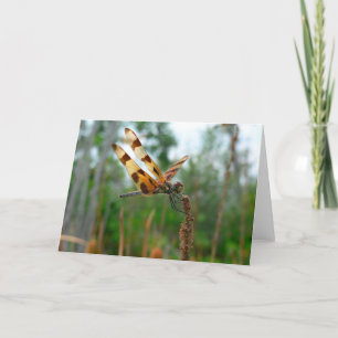 Tarjeta Hora de la comida