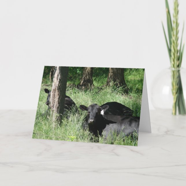 Tarjeta Hora Nap (Anverso)