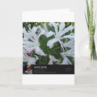 Tarjeta Hora precisa