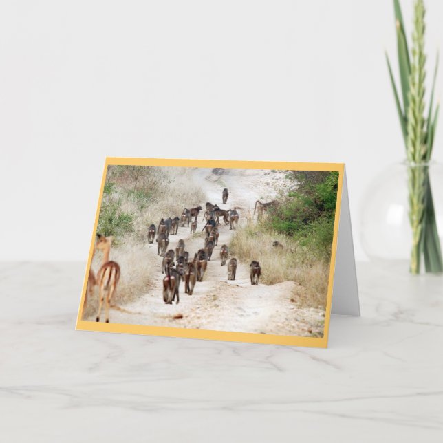 Tarjeta Hora punta del babuino (Anverso)