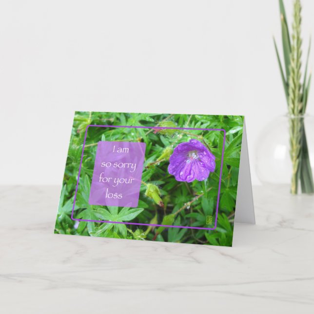 Tarjeta horizontal de simpatía de flor púrpura (Anverso)
