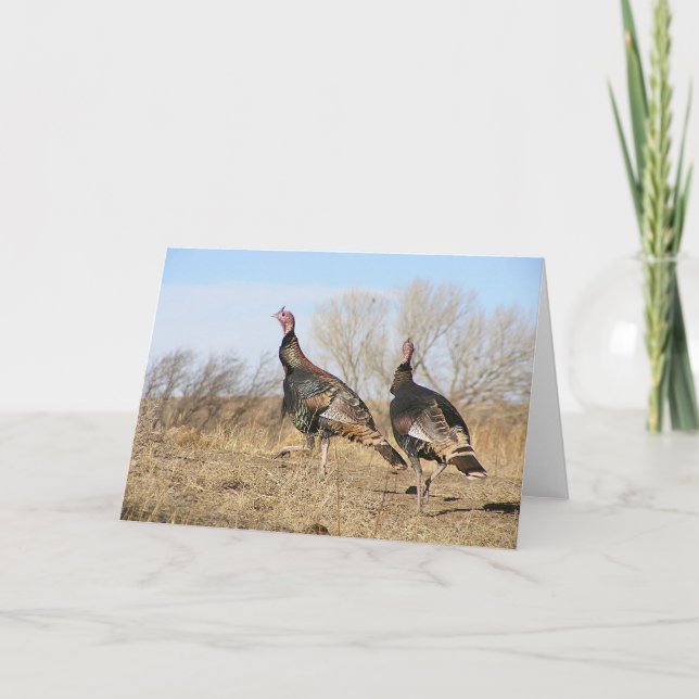 Tarjeta Horizonte de Turquía (Anverso)