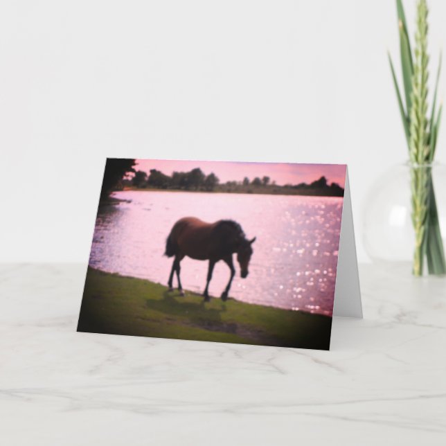Tarjeta Horse and Sunny Lake Blank (Anverso)