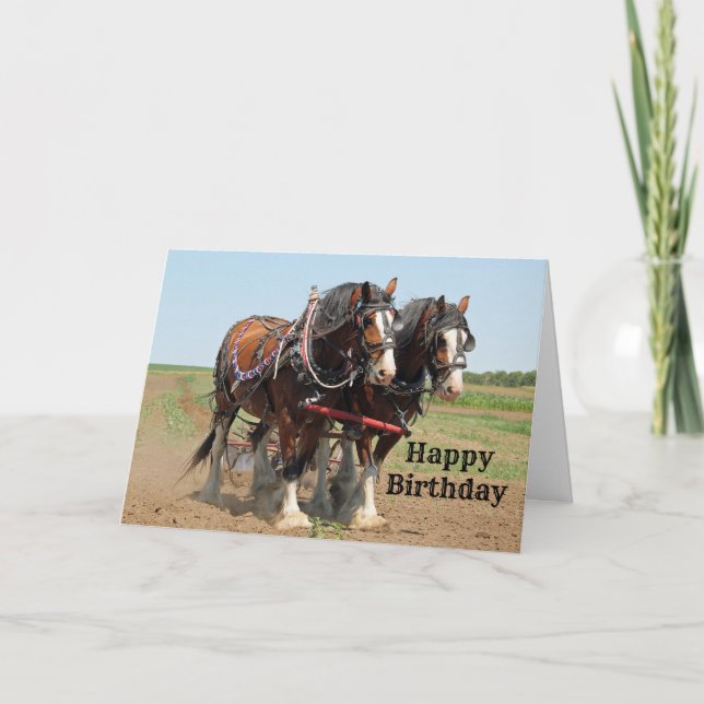 Tarjeta Horse Clydesdale Foto cumpleaños (Anverso)