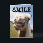 TARJETA HORSE FUNNY SMILE BIRTHDAY GREETING CARD<br><div class="desc">TARJETA DE CUMPLEAÑOS FUNNY HORSE DE SONRISA</div>