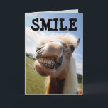 TARJETA HORSE FUNNY SMILE BIRTHDAY GREETING CARD<br><div class="desc">TARJETA DE CUMPLEAÑOS FUNNY HORSE DE SONRISA</div>