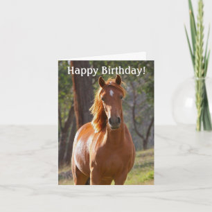 Tarjeta Horse Happy Birday Card para los amantes del cabal