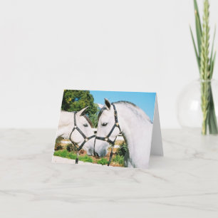 TARJETA HORSE KISS