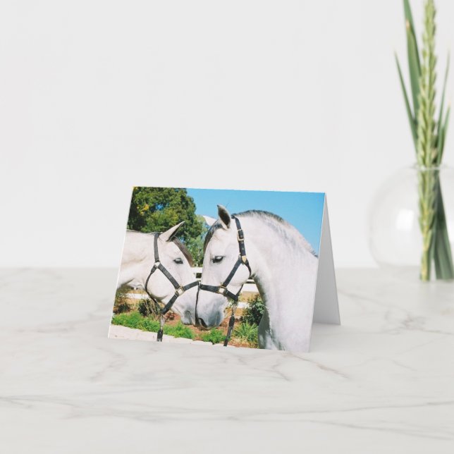 TARJETA HORSE KISS (Anverso)