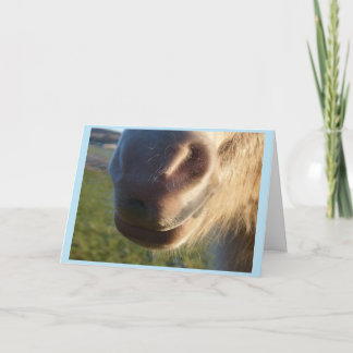 Tarjeta Horse smile Card