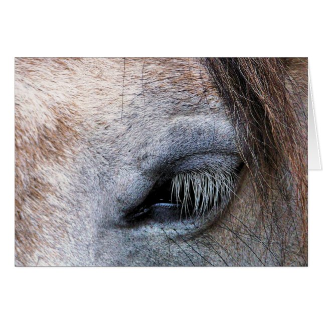 Tarjeta HORSES (Anverso (Horizontal))