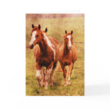 Horses Trotting All Occasions 