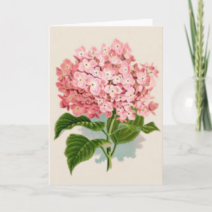 Tarjeta Hortensia Rosa Vintage