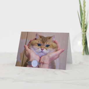 Tarjeta Hosico en las palmas