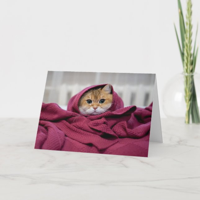 Tarjeta Hosico envuelto (Anverso)