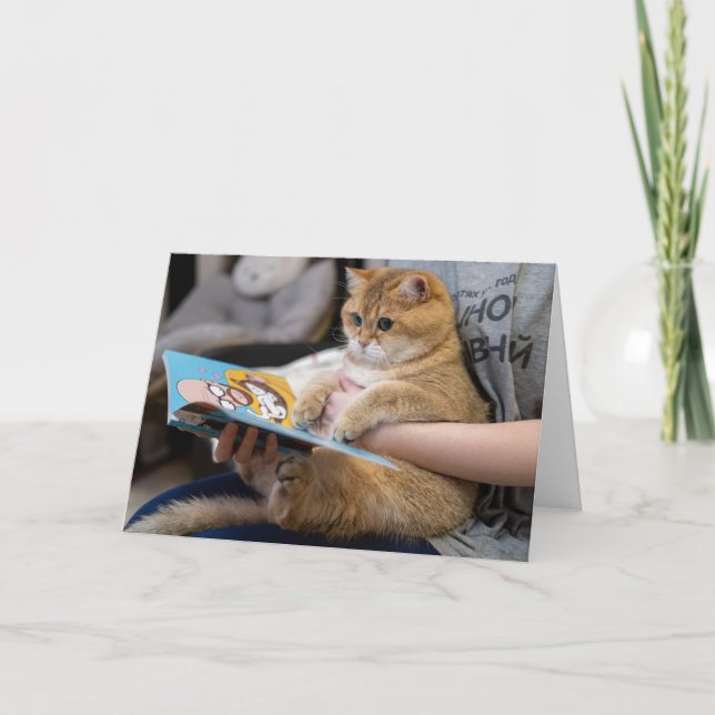 Tarjeta Hosico está leyendo un libro (Anverso)