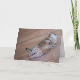 Tarjeta Hosico Flies