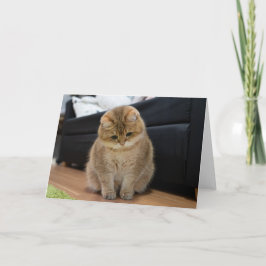 Tarjeta Hosico lindo bebé