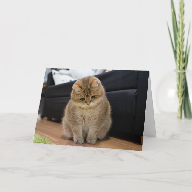 Tarjeta Hosico lindo bebé (Anverso)