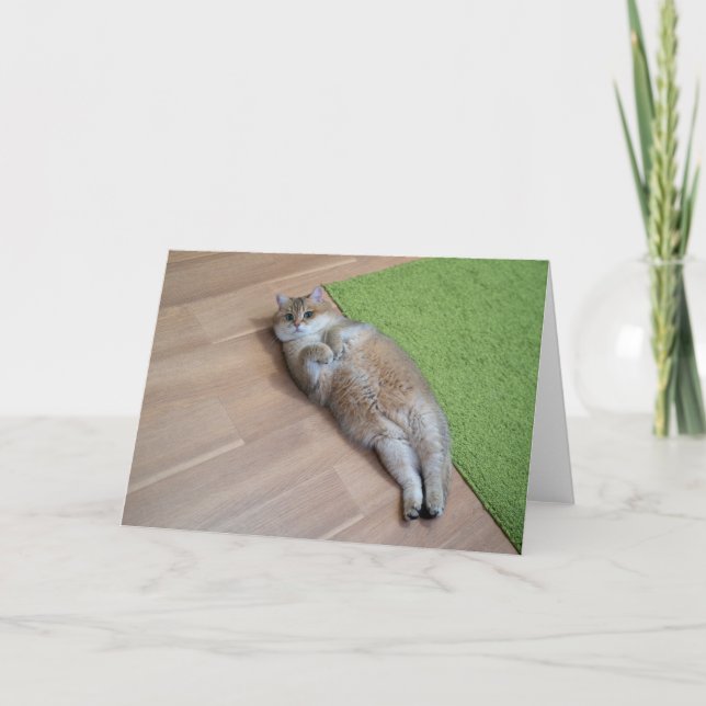 Tarjeta Hosico lindo gato (Anverso)