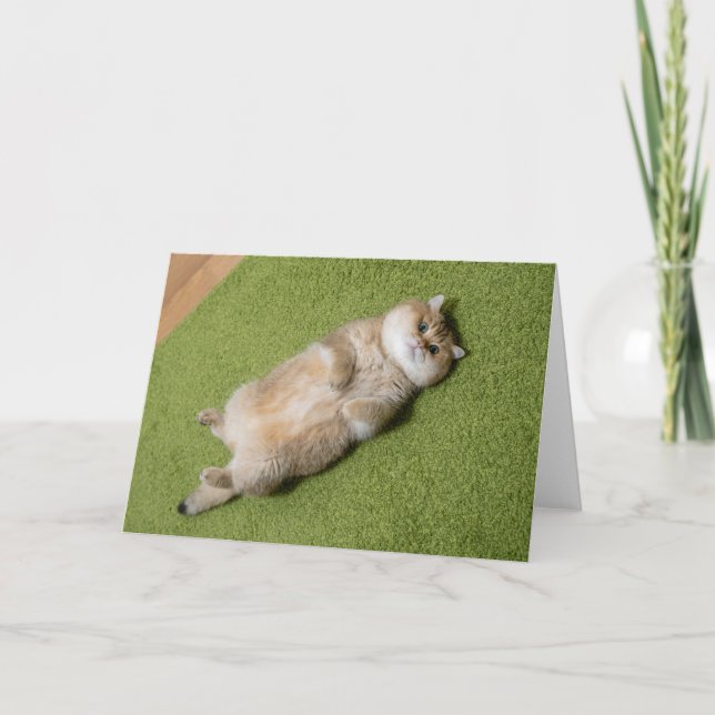 Tarjeta Hosico sobre la alfombra (Anverso)